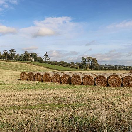 Bonjedward Mill Farm Cottage Jedburgh Exterior photo